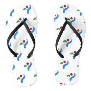Adult Slim Straps with Flag of Seoul Flip Flops