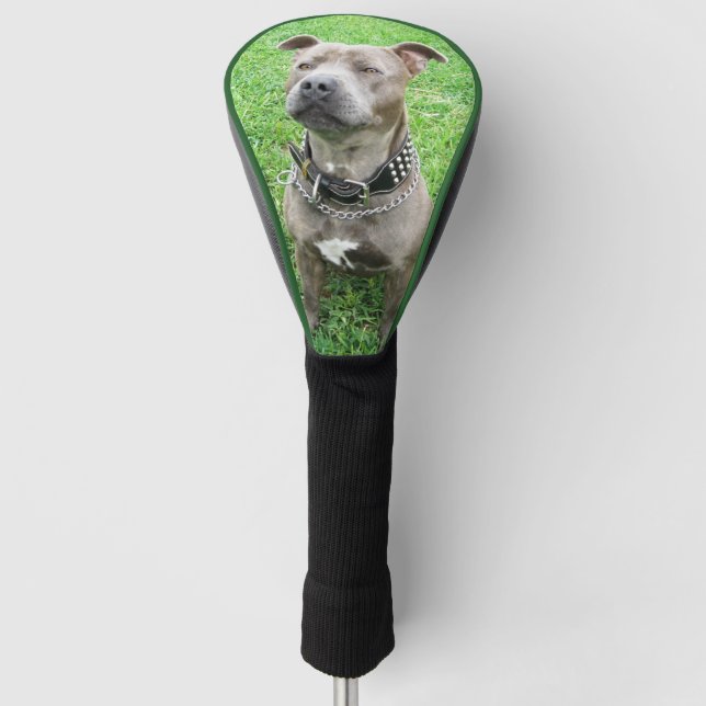 Adult Staffordshire Bull Terrier Golf Driver Cover (Front)