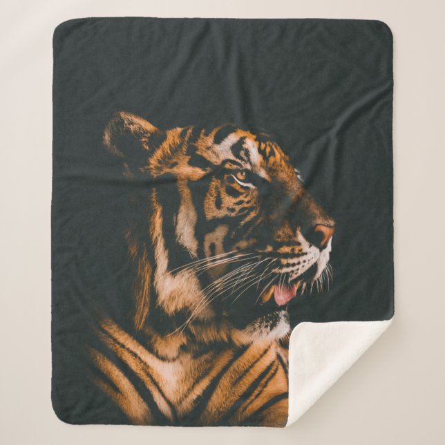 ADULT TIGER PRONE LYING INSIDE DIM LIGHTED ROOM SHERPA BLANKET (Front)