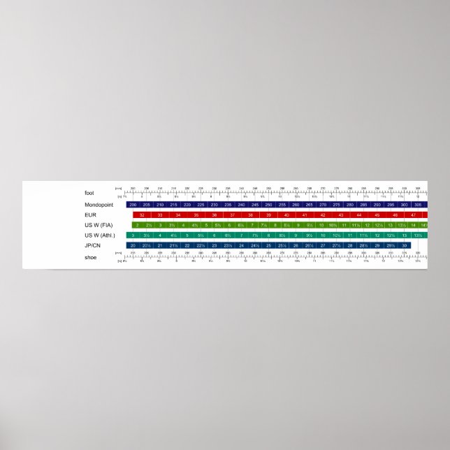 Adult Women's Shoe Size Comparison Chart (Front)