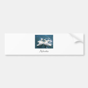 Advaita Swans Bumper Sticker