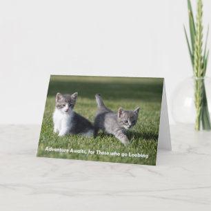 Adventure attend la carte de billet chaton