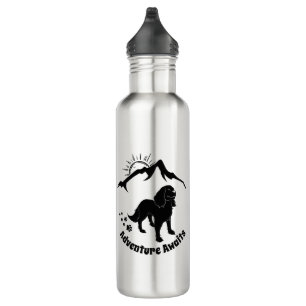 Adventure Awaits Hiking Cavalier Stainless Steel 710 Ml Water Bottle