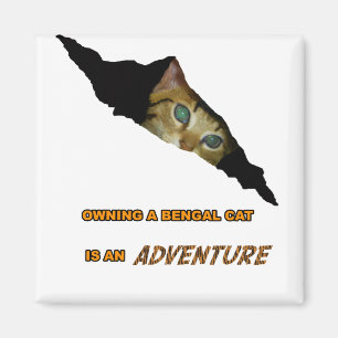 Adventure Magnet