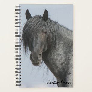 Adventure Planner