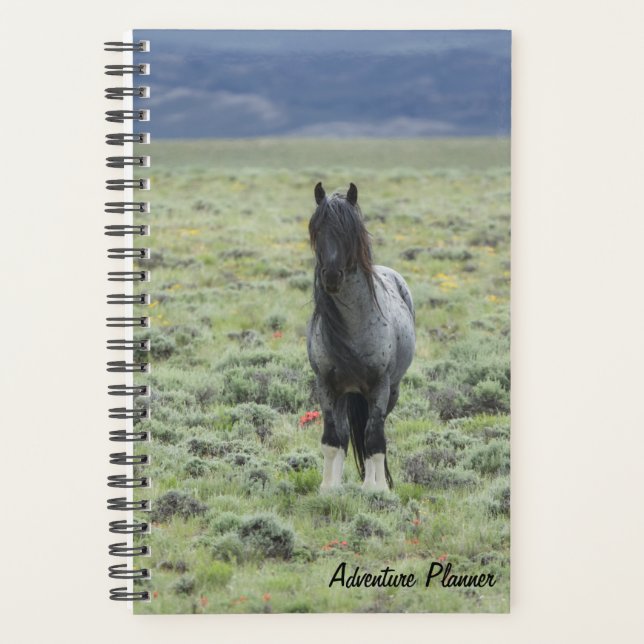 Adventure Planner avec Blue Zeus (Devant)