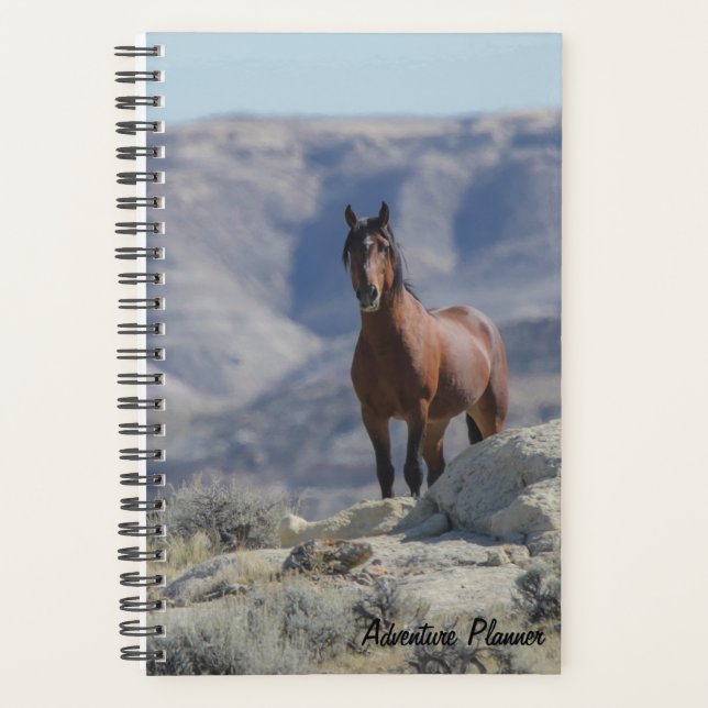 Adventure Planner avec étalon sauvage (Devant)