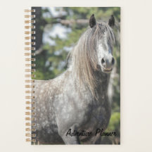 Adventure Planner w/ Grey Ghost