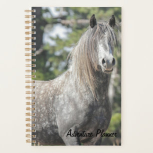 Adventure Planner w/ Grey Ghost 