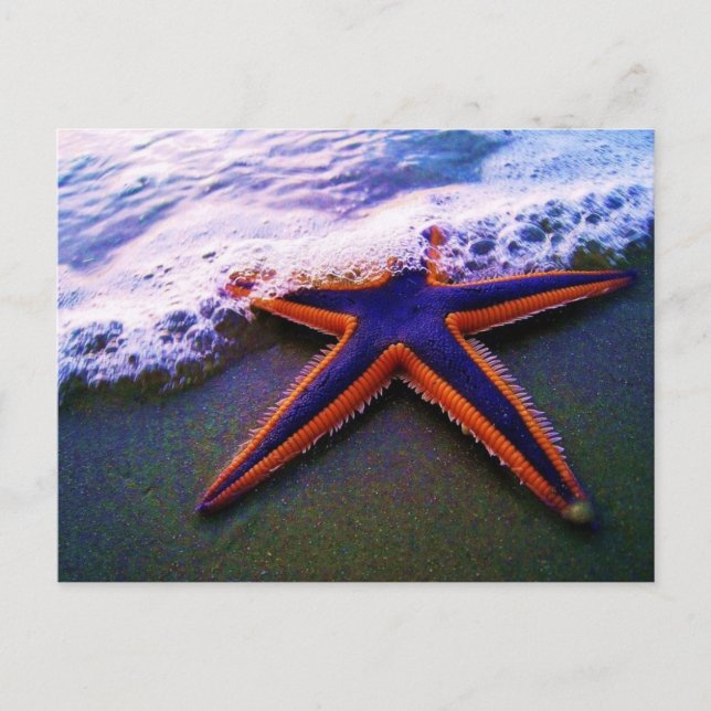 ADVENTURE POSTCARD (Front)