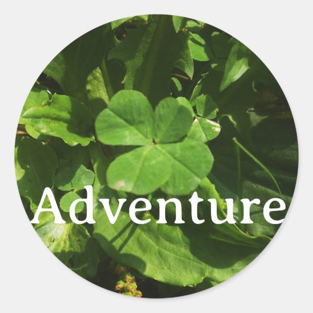 Adventure Sticker (Front)