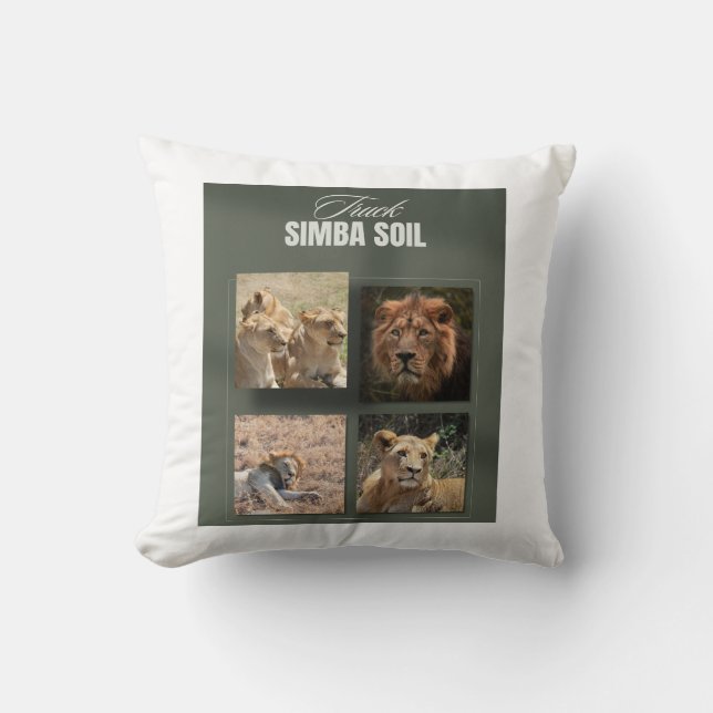Adventure Throw Pillow (Front)
