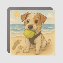 Adventure Trails & Tails – Peggy on the Beach 