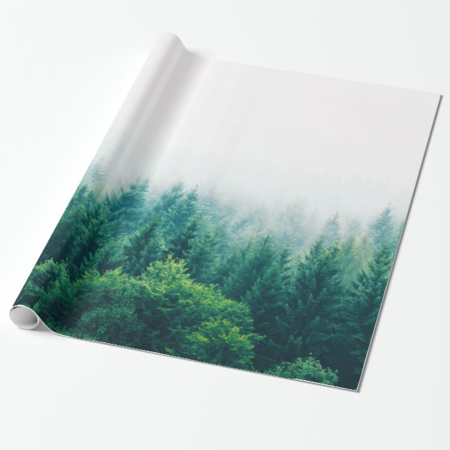 Adventure Wrapping Paper (Unrolled)