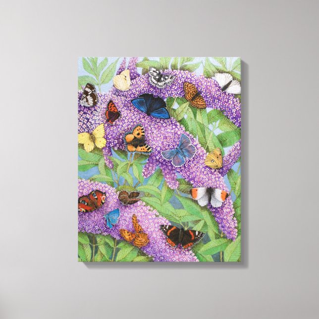 Adventuring 2011 canvas print (Front)