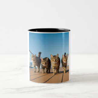 Adventurous Cat Cruise Mug