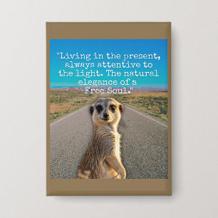 Adventurous Meerkat Living