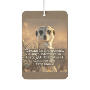 Adventurous Meerkat Living Air Freshener