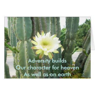 Adversity Builds