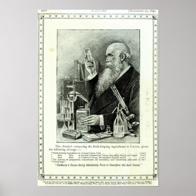 Advertisement for 'Cadbury's Cocoa' Poster (Front)