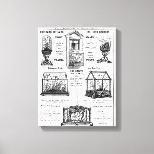 Advertisement for 'Dick Radclyffe & Co.' Rustic Ad Canvas Print