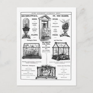 Advertisement for 'Dick Radclyffe & Co.' Rustic Ad Postcard