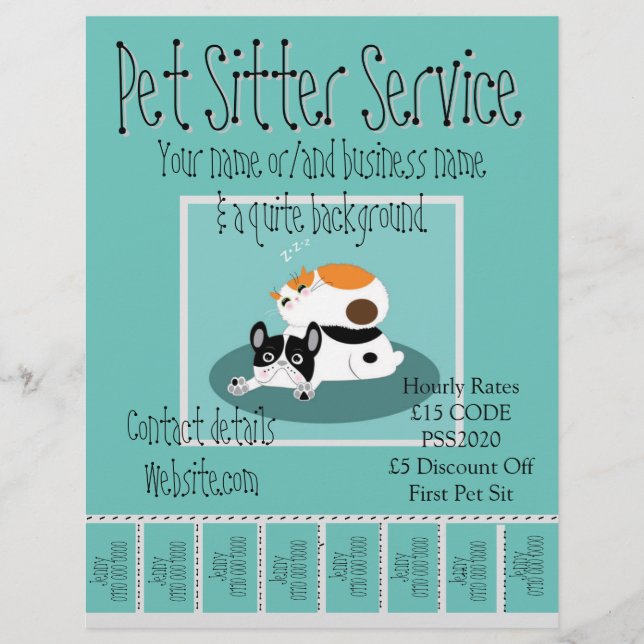 Advertising Promotional Flyers Pet Sitter Service (Front)