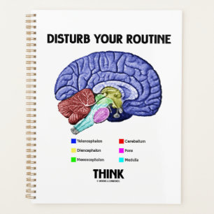 Advice Disturb Your Routine Think Brain Anatomy