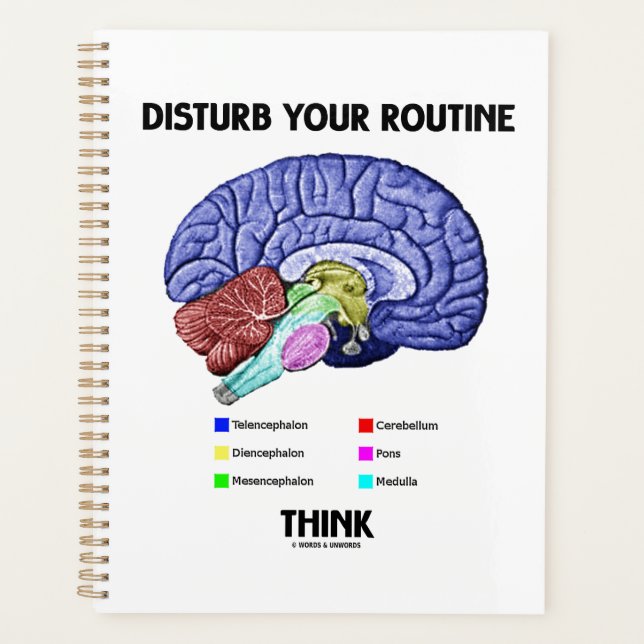 Advice Disturb Your Routine Think Brain Anatomy (Devant)
