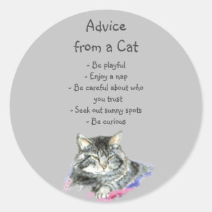 Advice from a Cat Fun Animal Humour Classic Round Sticker