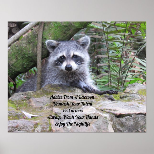 Advice From A Raccoon Poster (Front)