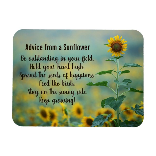 Advice from a Sunflower Design Magnet (Horizontal)