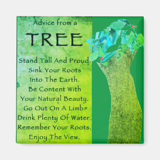 Advice from a tree magnet