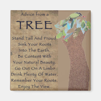 Advice from a tree magnet