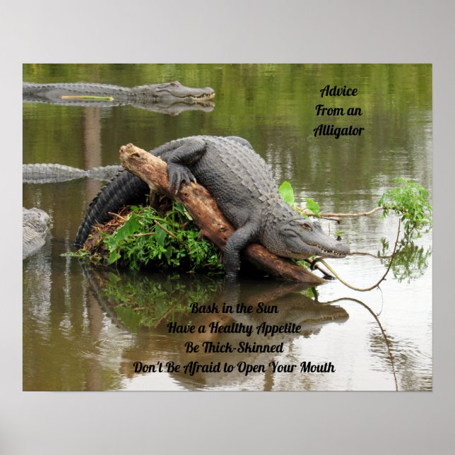 Advice From An Alligator Poster (Front)