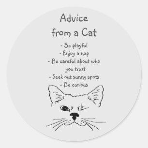 Advice from Winking Cat Fun Animal Humour Classic Round Sticker