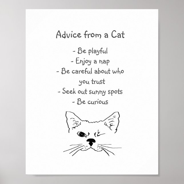 Advice from Winking Cat Fun Animal Humour Poster (Front)