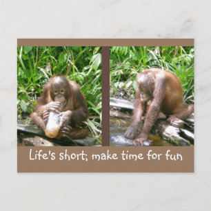 advice: Life's short, have fun Postcard
