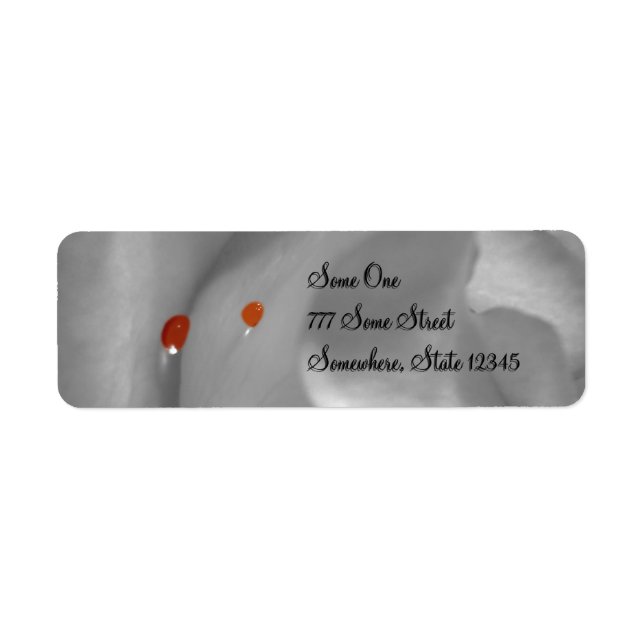 Aeolian Watercolor Address Labels (Front)