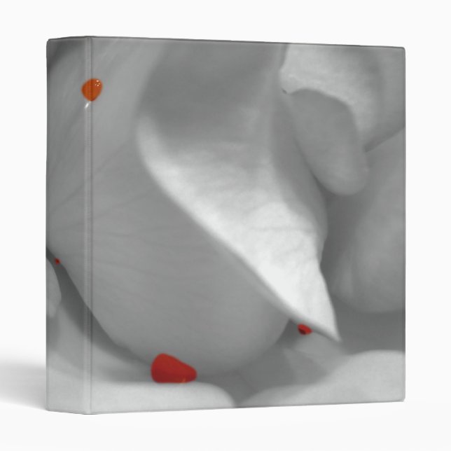 Aeolian Watercolor Binder (Front/Spine)