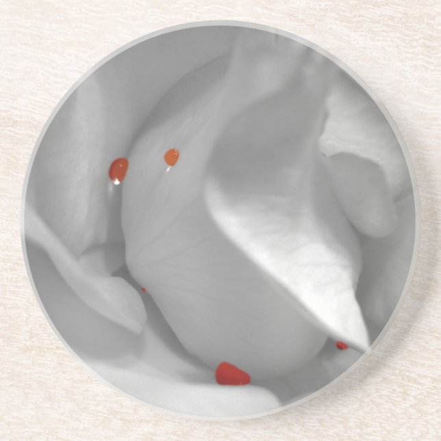 Aeolian Watercolor Coaster (Front)