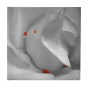 Aeolian Watercolor Decorative Tile