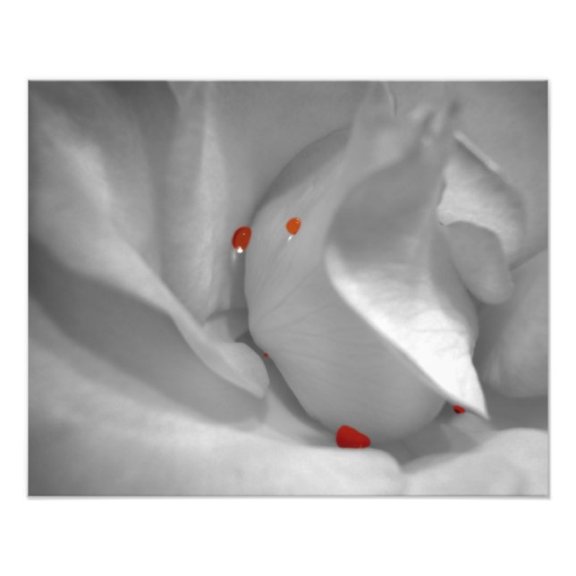 Aeolian Watercolor Photo Print (Front)