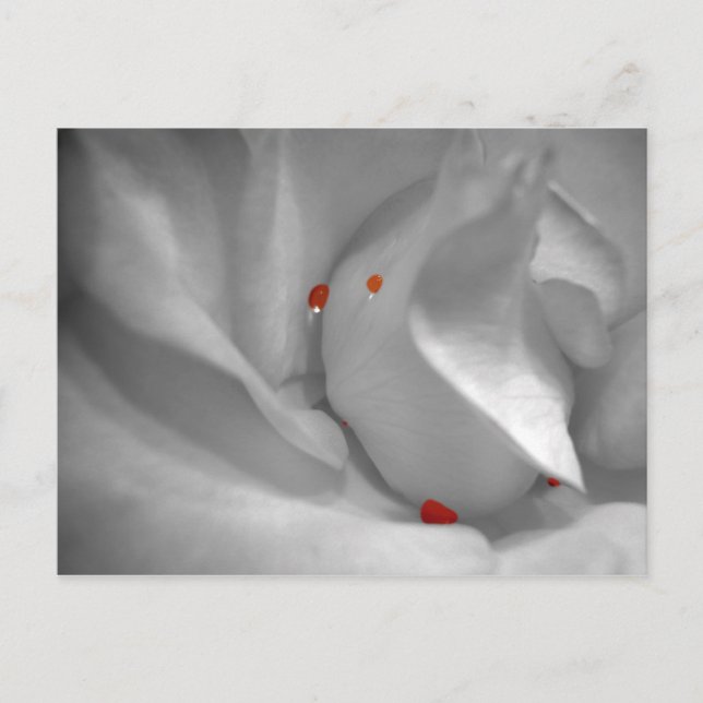 Aeolian Watercolor Postcard (Front)