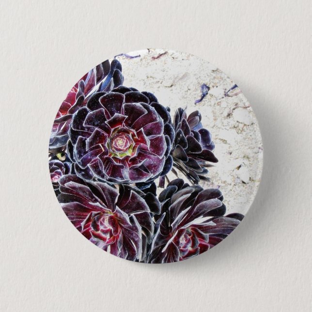 Aeonium Flower On Dry Rocks 2 Inch Round Button (Front)