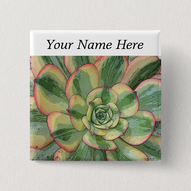 Aeonium 'Sunburst' pin-back button name tag (Front)
