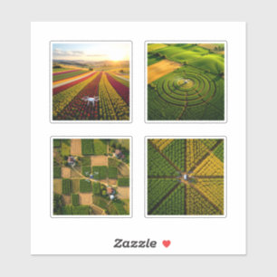Aerial Drone Collage of Vibrant Geometric Agricult