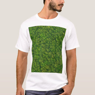 Aerial forest view, top view, copy space.
