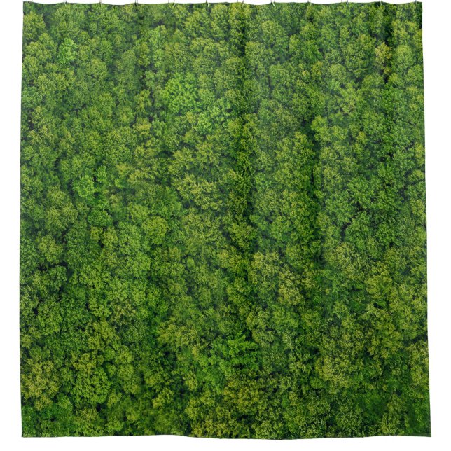 Aerial forest view, top view, copy space. (Front)