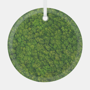 Aerial forest view, top view, copy space. glass ornament